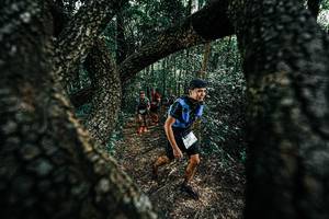 BIB: 
                            <button type="button" onclick="openModal(25392147)" class="btn btn-primary btn-sm float-right btn-popup" data-toggle="modal" data-target=".modal-high-quality">
                        <i class="fas fa-shopping-cart"></i> Add to Cart
                    </button>
                                            <button type="button" onclick="isThisMe(25392147, true)" class="btn btn-success btn-sm float-right btn-popup btn-isme hidden" data-toggle="tooltip" data-placement="bottom" title="นี่คือรูปของคุณใช่ไหม คลิกที่นี่เพื่อเอาเข้าอัลบั้ม">
                        <i class="fas fa-plus"></i> Add to album
                    </button>
                    <button type="button" onclick="isThisMe(25392147, false)" class="btn btn-warning btn-sm float-right btn-popup btn-isnotme hidden">
                        <i class="fas fa-ban"></i> Remove from album
                    </button>